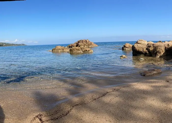 L'alpana En Bois Vue A 180 Degres