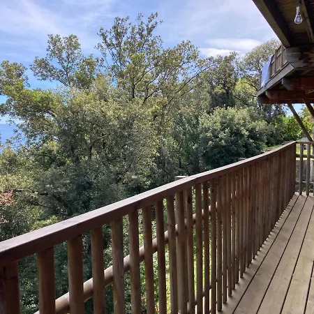 L'alpana En Bois Vue A 180 Degres *