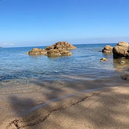 L'alpana En Bois Vue A 180 Degres