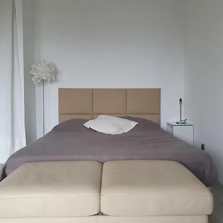 L'alpana En Bois Vue A 180 Degres * Sari-Solenzara