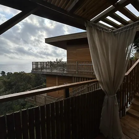 Βίλα L'alpana En Bois Vue A 180 Degres *