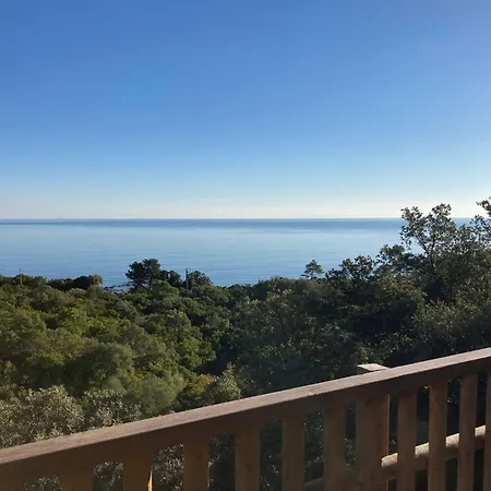 L'alpana En Bois Vue A 180 Degres Sari-Solenzara