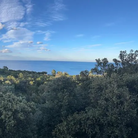 L'alpana En Bois Vue A 180 Degres Sari Solenzara