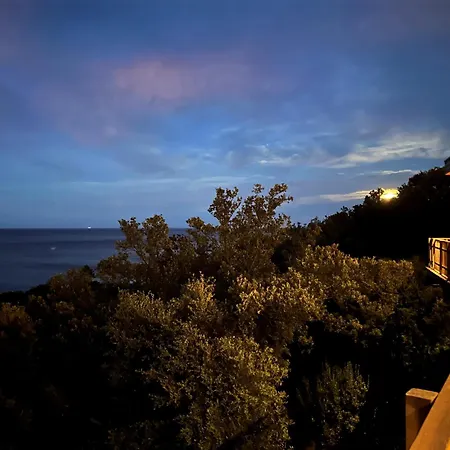 L'alpana En Bois Vue A 180 Degres Sari-Solenzara