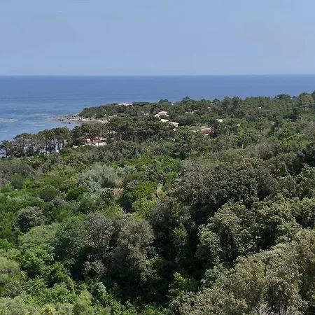 L'alpana En Bois Vue A 180 Degres Sari-Solenzara