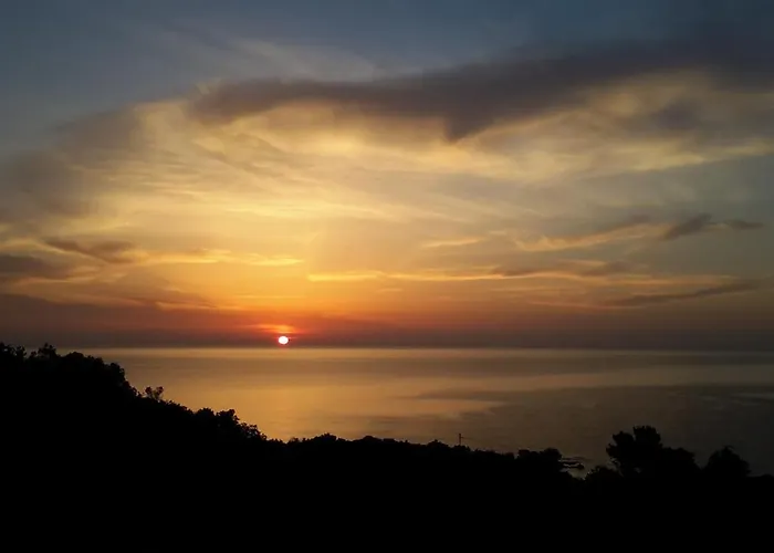 L'alpana En Bois Vue A 180 Degres * Sari-Solenzara