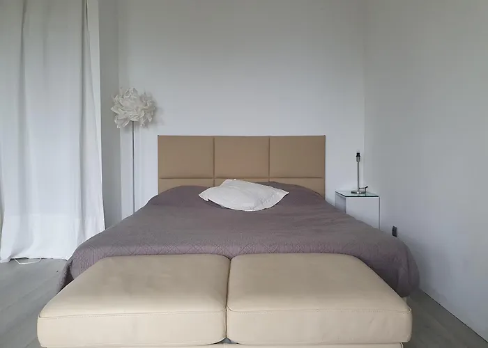 L'alpana En Bois Vue A 180 Degres * Sari-Solenzara