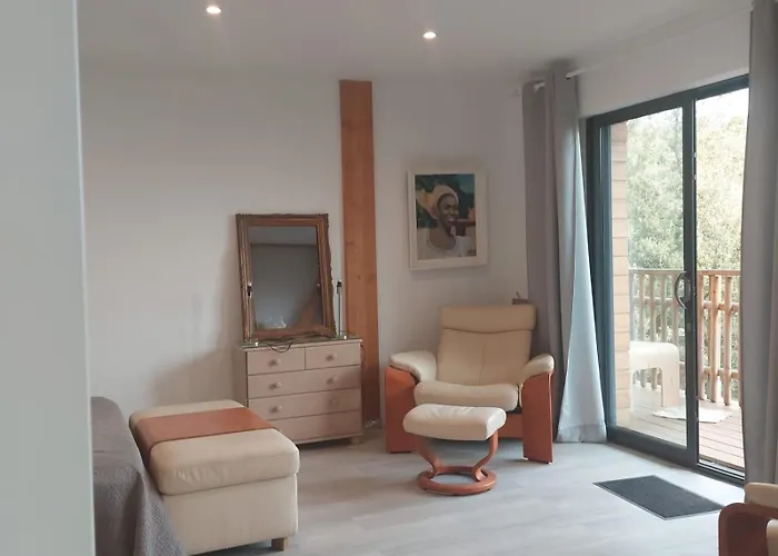 Villa L'alpana En Bois Vue A 180 Degres *