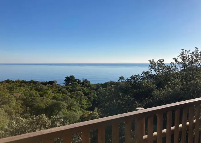 L'alpana En Bois Vue A 180 Degres Sari-Solenzara