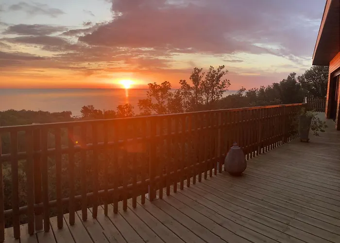 L'alpana En Bois Vue A 180 Degres Sari-Solenzara