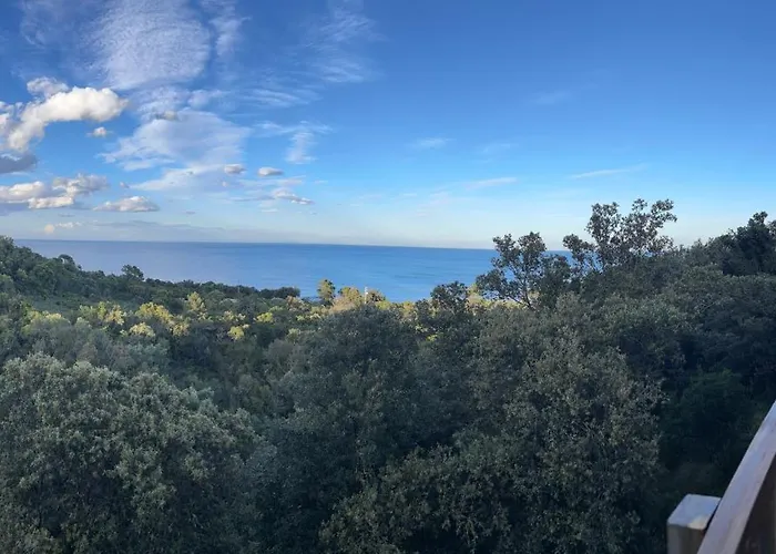 L'alpana En Bois Vue A 180 Degres Sari-Solenzara