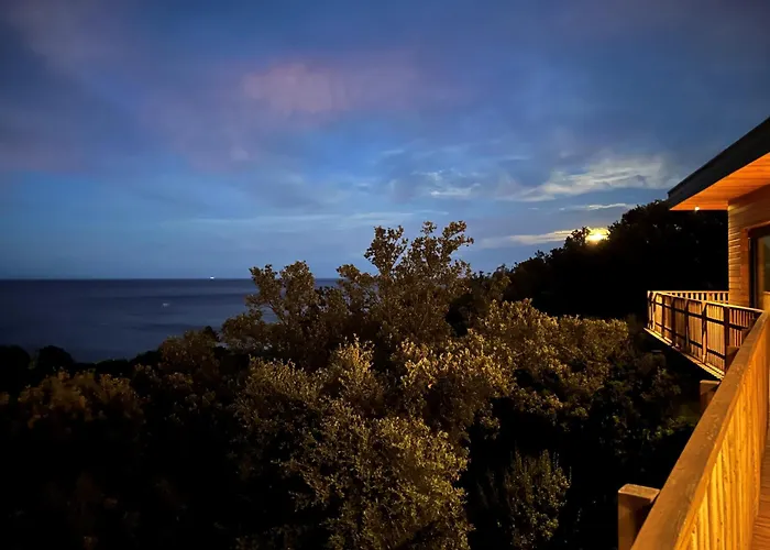 L'alpana En Bois Vue A 180 Degres Sari-Solenzara