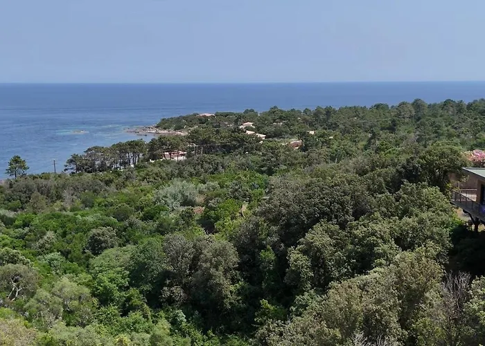 L'alpana En Bois Vue A 180 Degres Sari-Solenzara